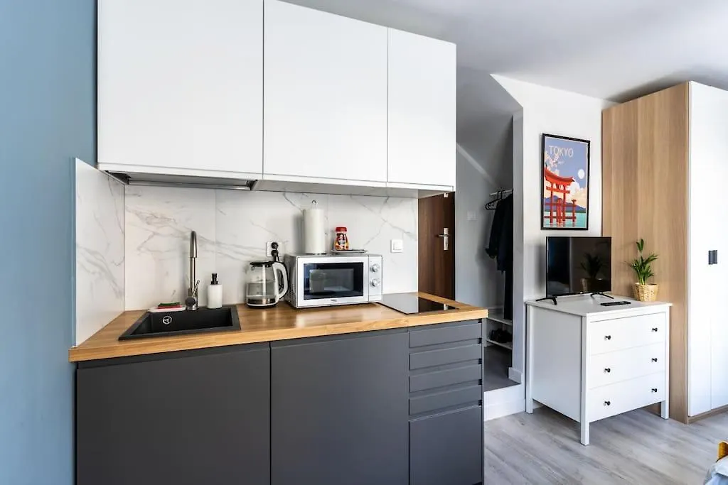 Close-Central Warsaw Apartment - Great Location - Stylish Studio Apartment - Ogrodowa#3